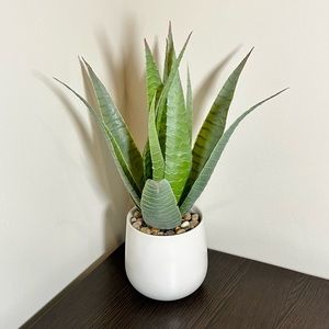 Fake Aloe Vera Plant